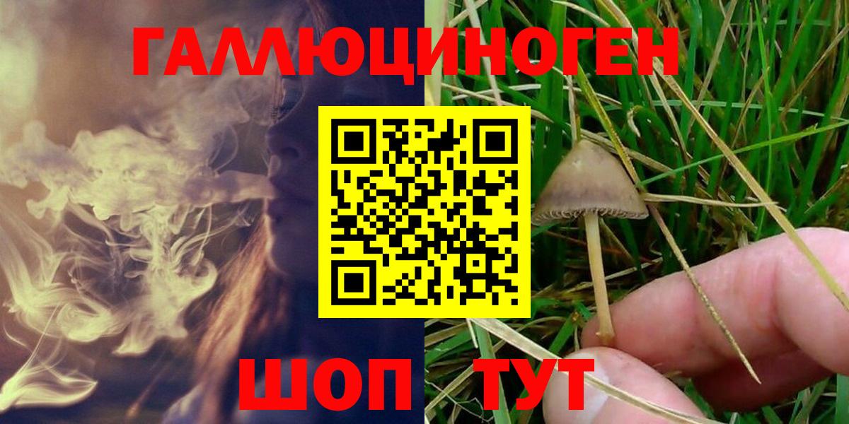 Псилоцибиновые грибы Cubensis  Вход с VPN  Кисловодск 