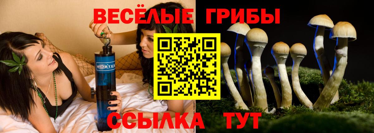 Галлюциногенные грибы ЛСД Кисловодск